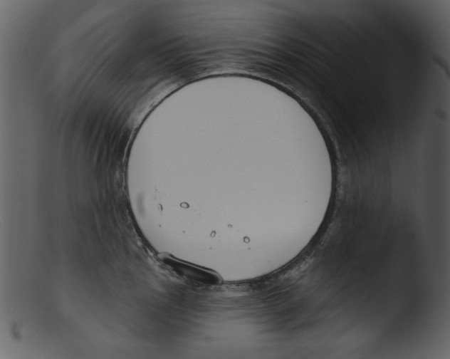 X0000103261145200809261132