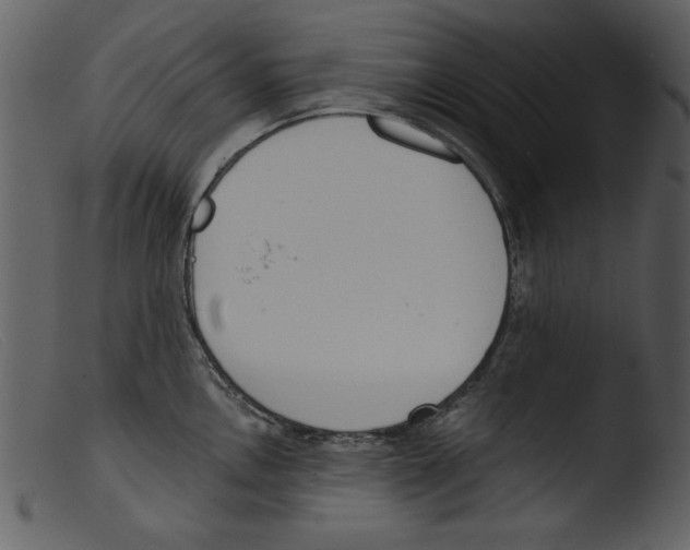 X0000103261146200809261132