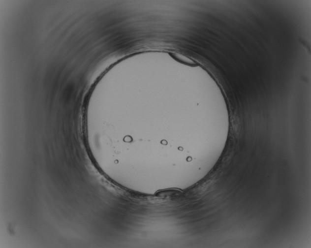 X0000103261147200809261132