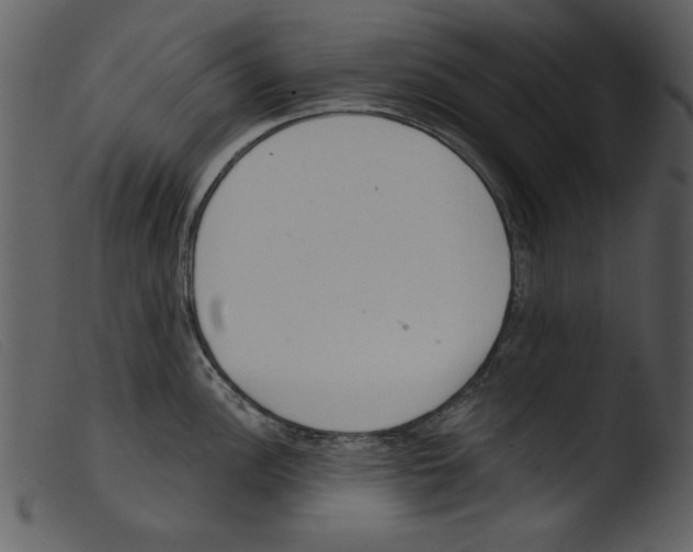 X0000103261148200809261132