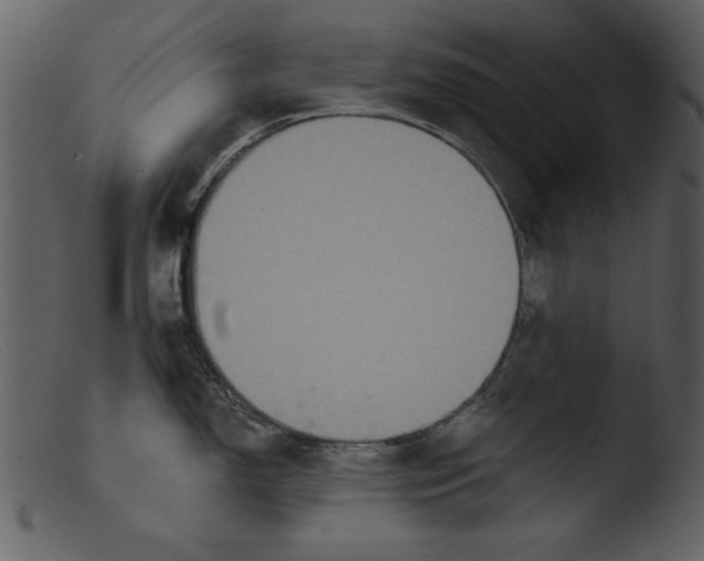 X0000103261150200809261132