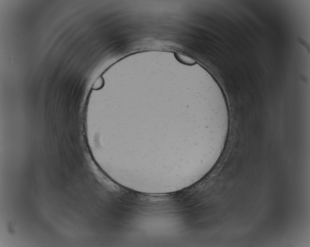 X0000103261152200809261132