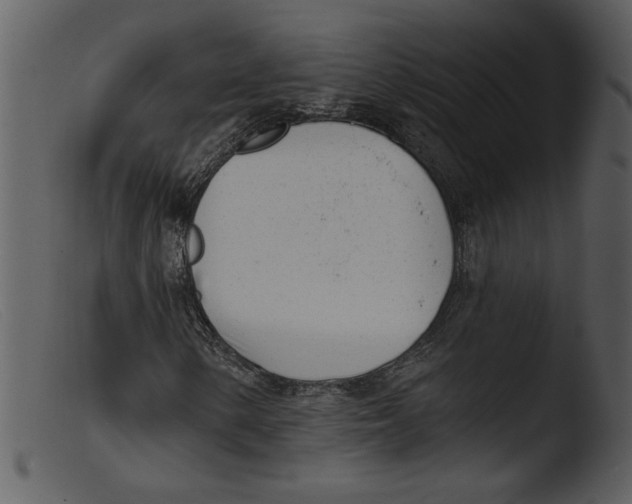 X0000103261154200809261132