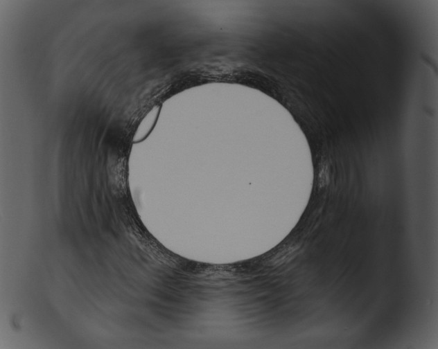 X0000103261156200809261132