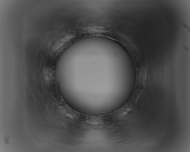 X0000103261157200809261132