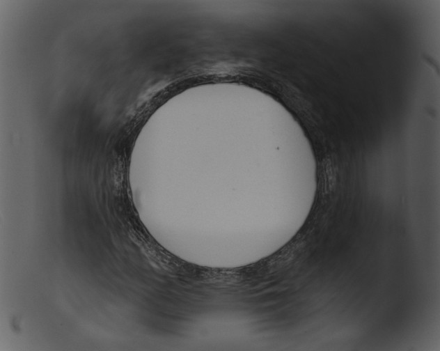 X0000103261158200809261132