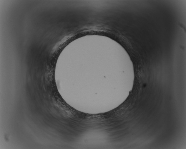 X0000103261159200809261132