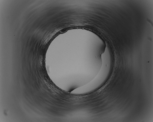 X0000103261161200809261132