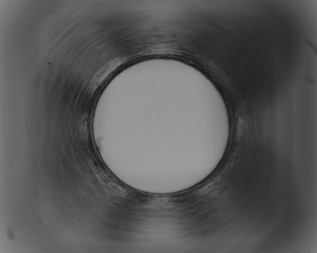 X0000103261162200809261132