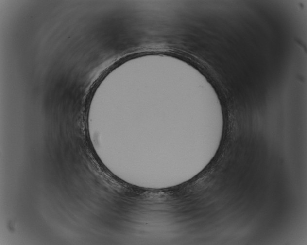 X0000103261168200809261131