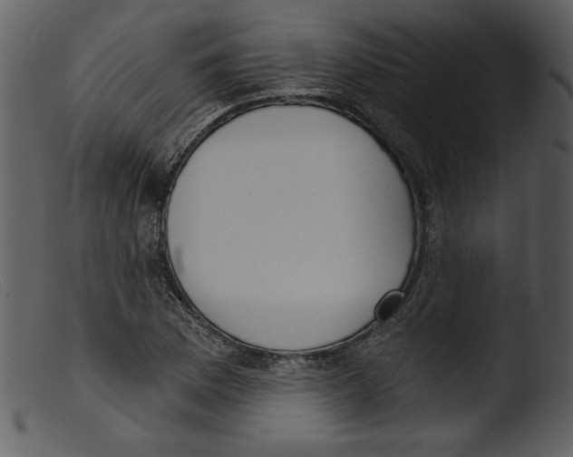 X0000103261169200809261131