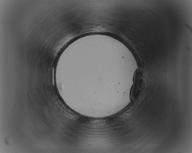 X0000103261171200809261131