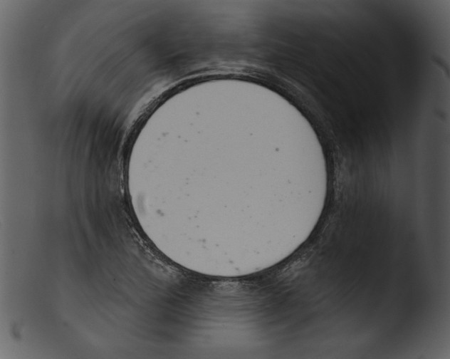 X0000103261172200809261131