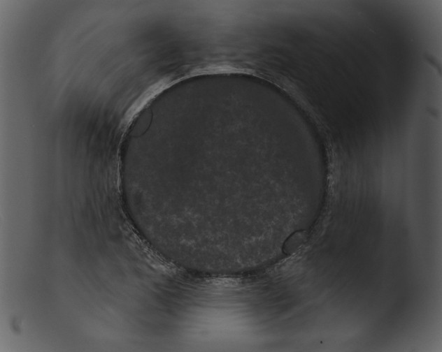 X0000103261173200809261131