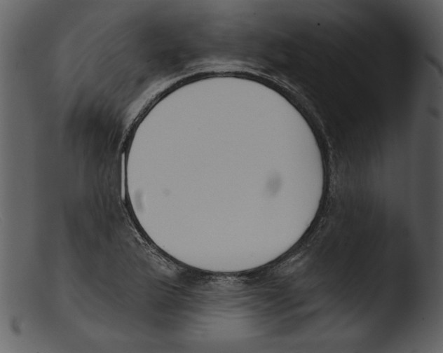 X0000103261175200809261131