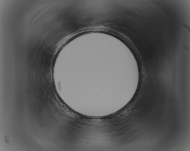 X0000103261176200809261131