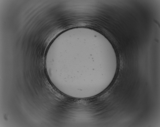 X0000103261178200809261131