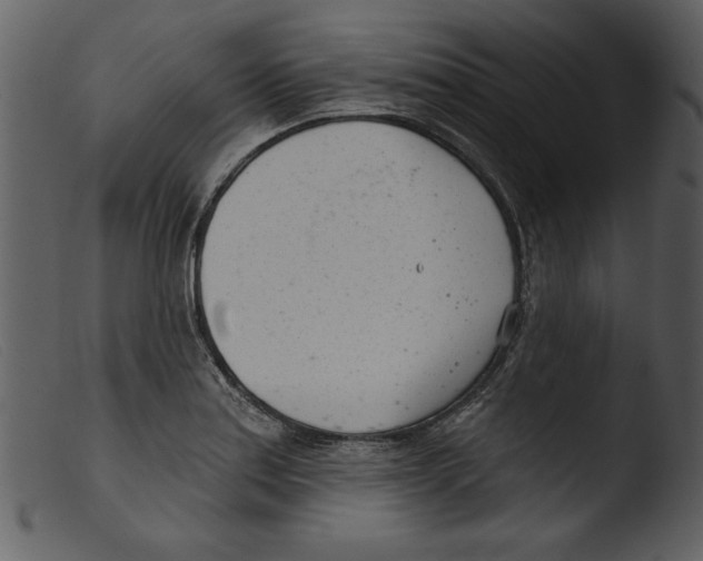 X0000103261179200809261131