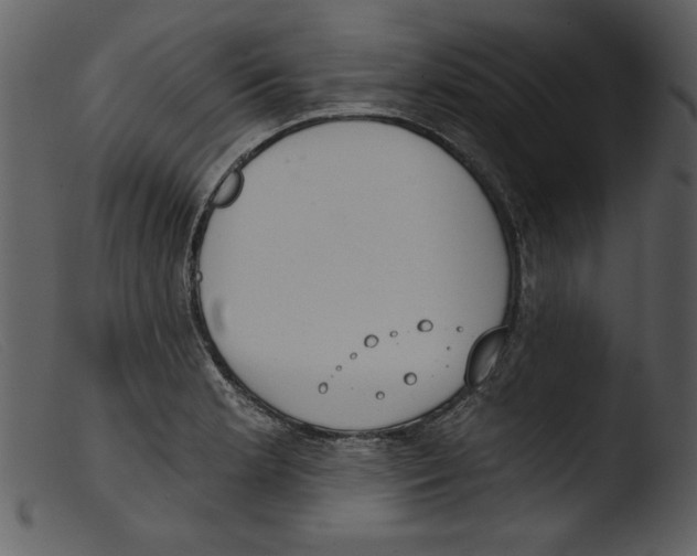 X0000103261181200809261131