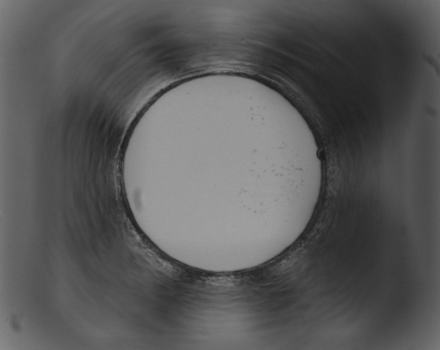 X0000103261182200809261131