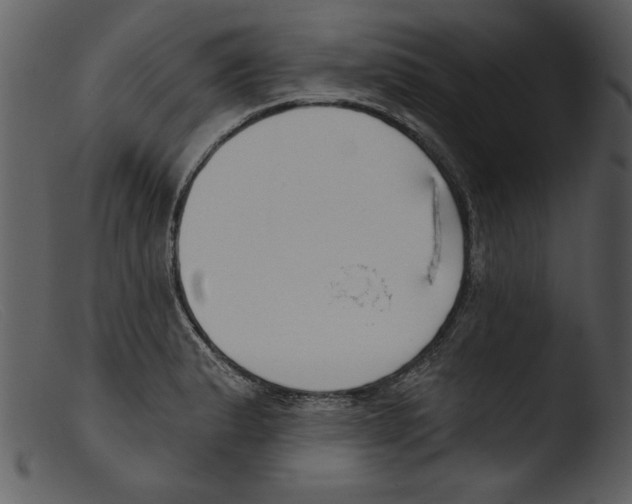 X0000103261183200809261131