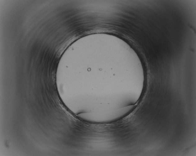 X0000103261185200809261131