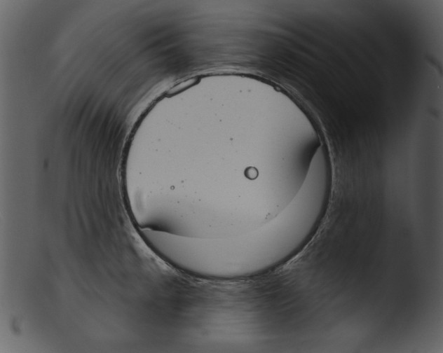 X0000103261189200809261131