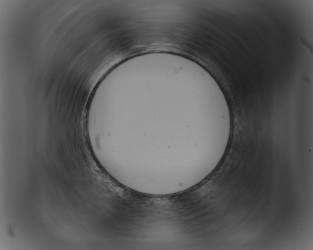 X0000103261190200809261131