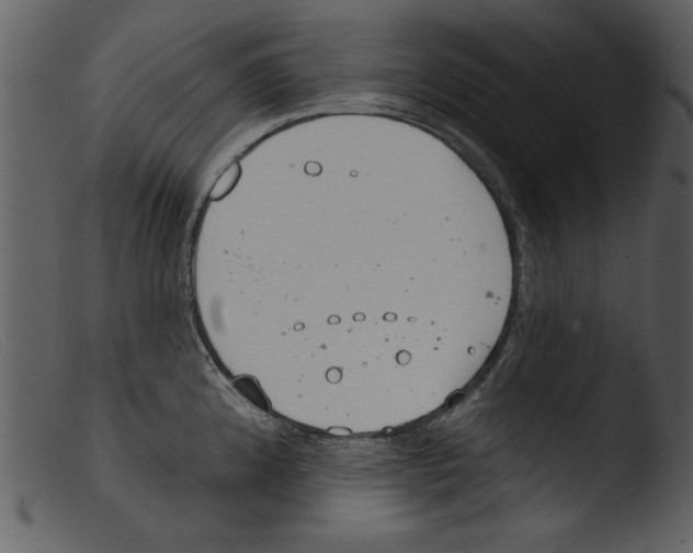 X0000103261192200809261131