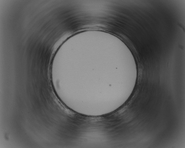 X0000103261196200809261131