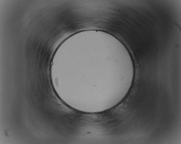 X0000103261197200809261131