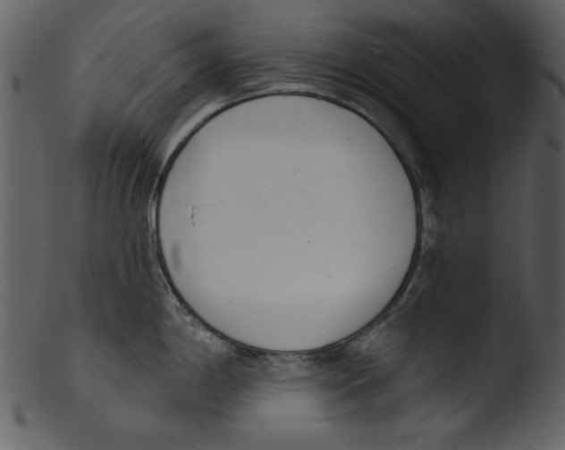 X0000103261198200809261131