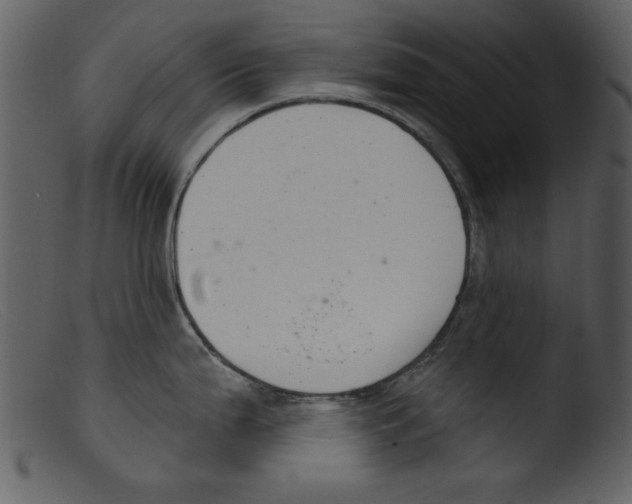 X0000103261199200809261131