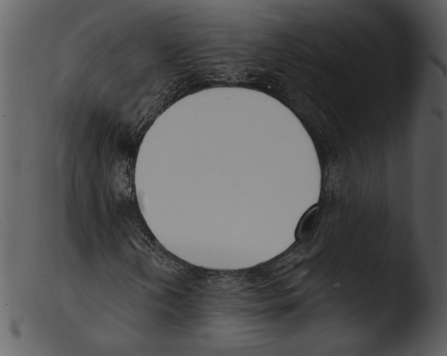 X0000103261202200809261130