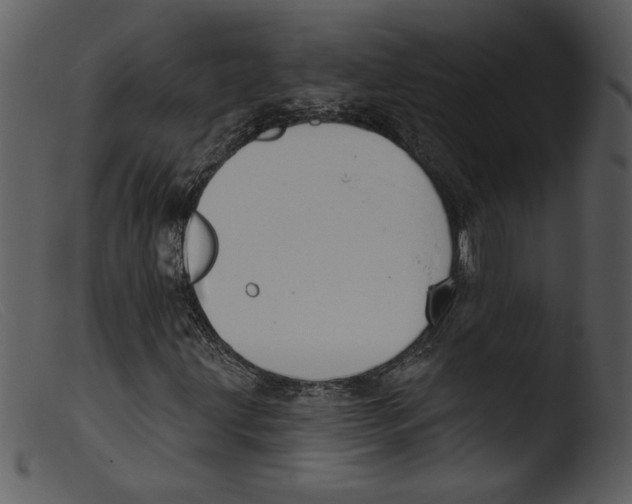 X0000103261203200809261130