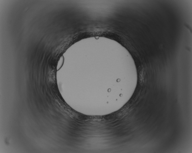 X0000103261204200809261130