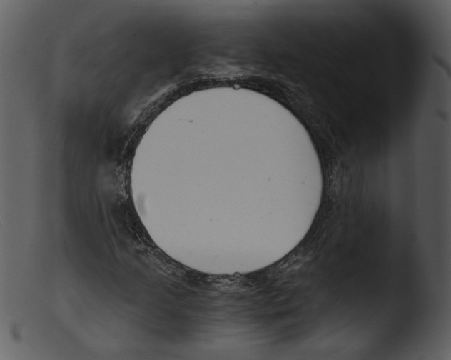 X0000103261205200809261130