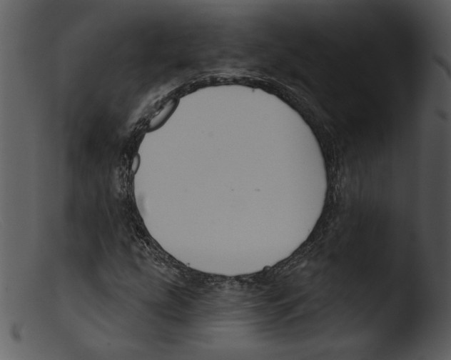 X0000103261207200809261130