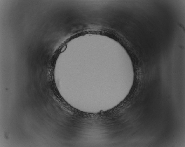 X0000103261208200809261130