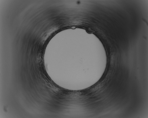 X0000103261210200809261130