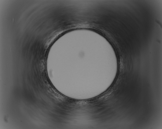 X0000103261212200809261130