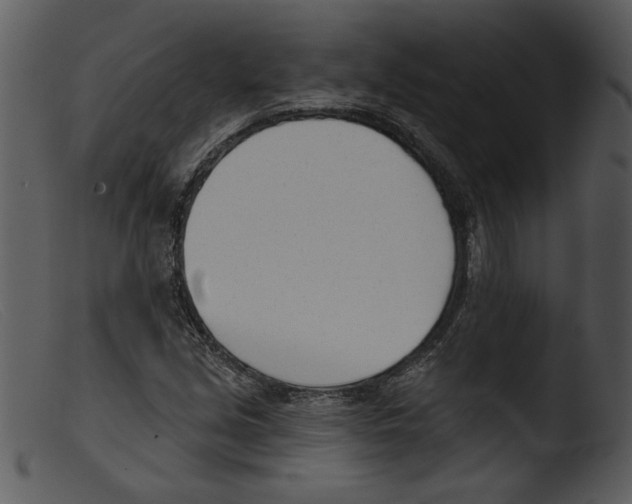 X0000103261213200809261130