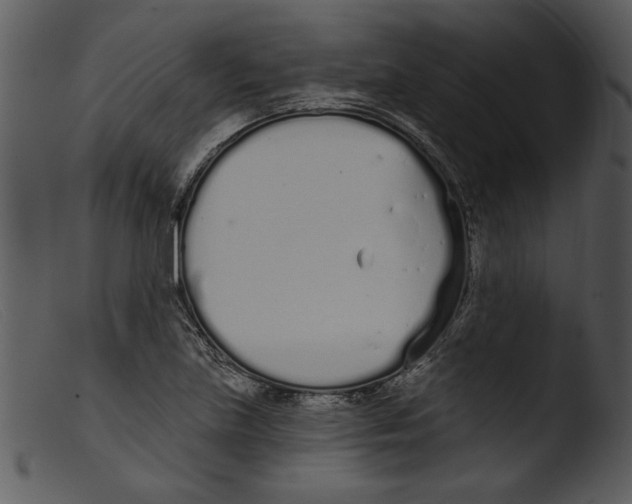 X0000103261219200809261130