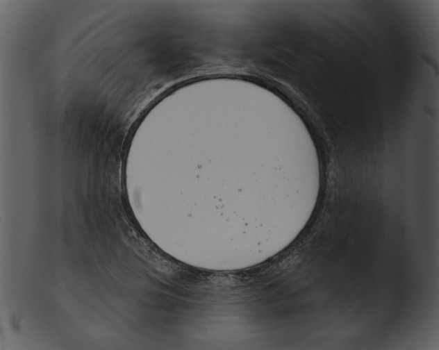 X0000103261220200809261130