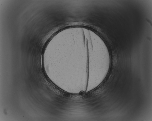 X0000103261221200809261130