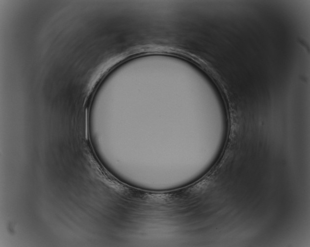 X0000103261223200809261131