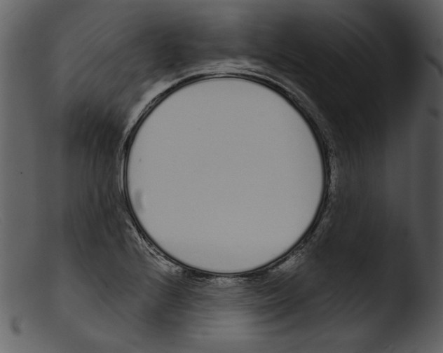 X0000103261224200809261131