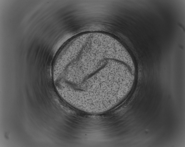 X0000103261226200809261131