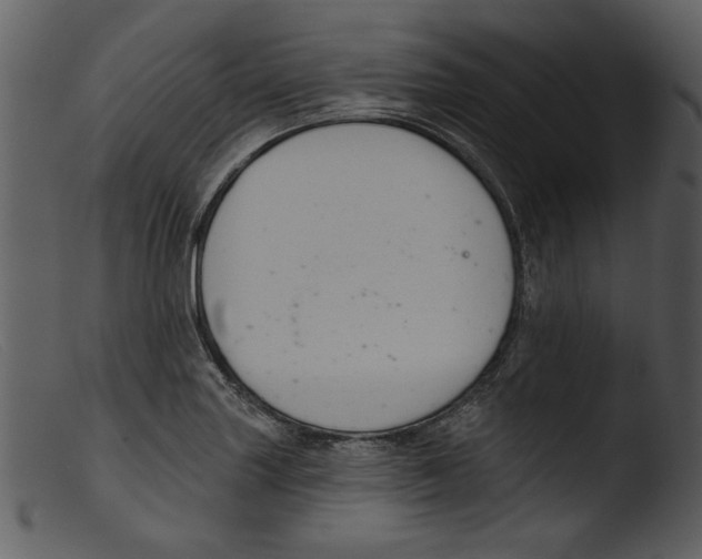 X0000103261227200809261131