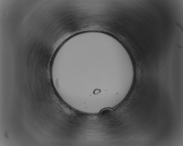 X0000103261230200809261131